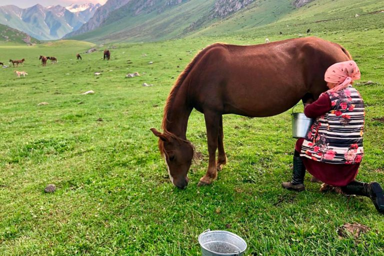 Scenic Ak Tor Pass Trek | 3 Days - Trekking Near Osh City